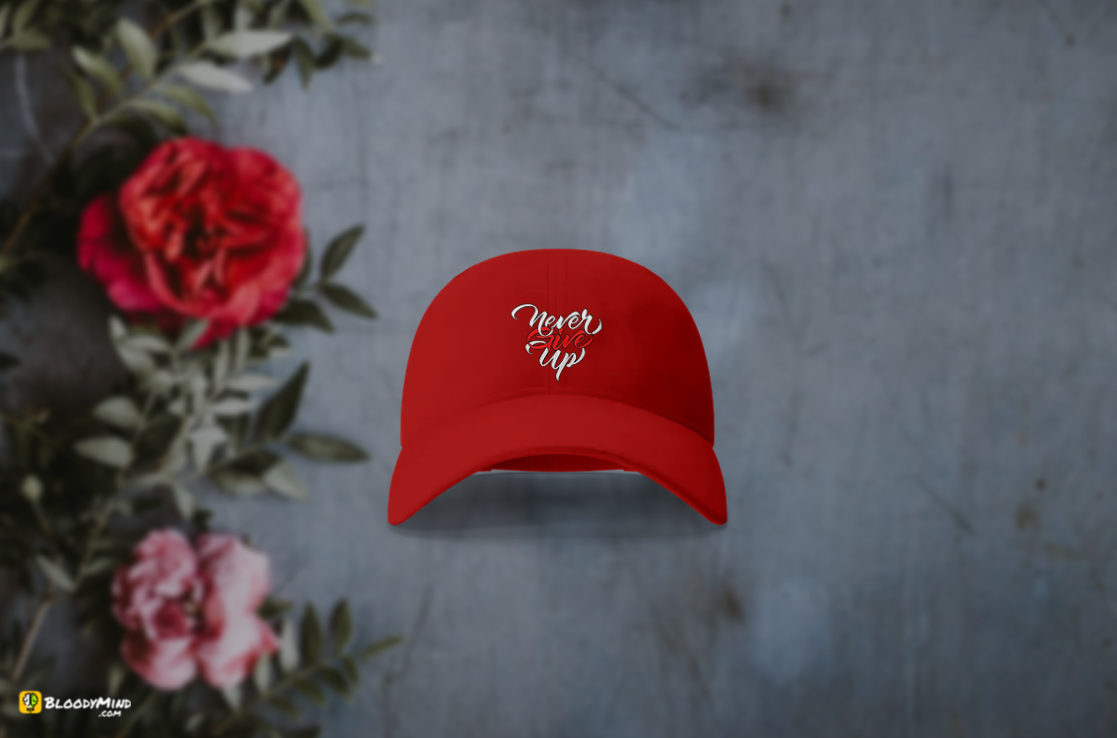 "Never Give Up" Baseball Cap